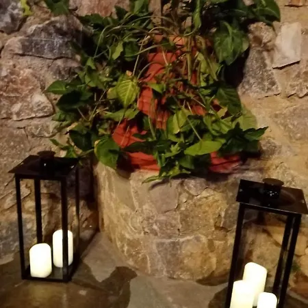 Rafaelhouse * 하니아